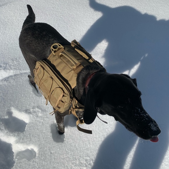 Meet your Posher, Chad - Picture 1 of 1